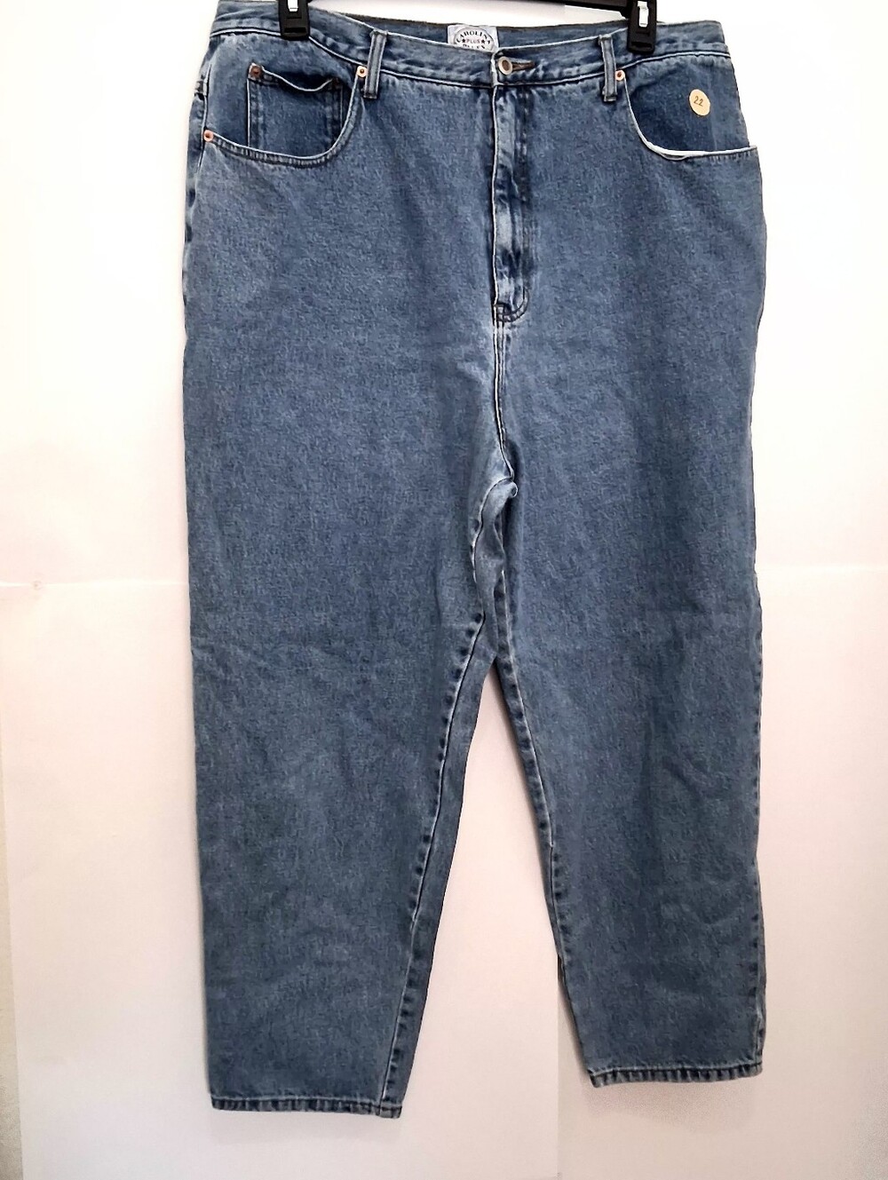 CAROLINA BLUES Women's Light Blue Boyfriend Jeans Size 22 Average